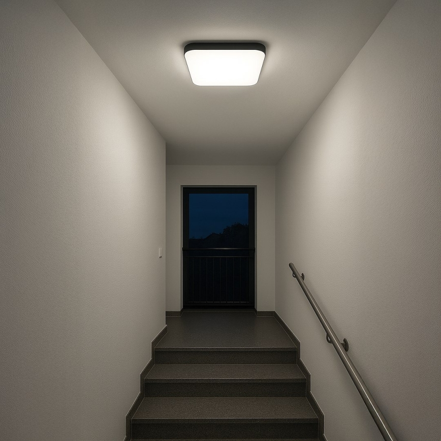 LED Deckenleuchte NEMO LED/36W/230V 50x50 cm schwarz