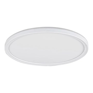 LED Deckenleuchte PAVEL LED/18W/230V