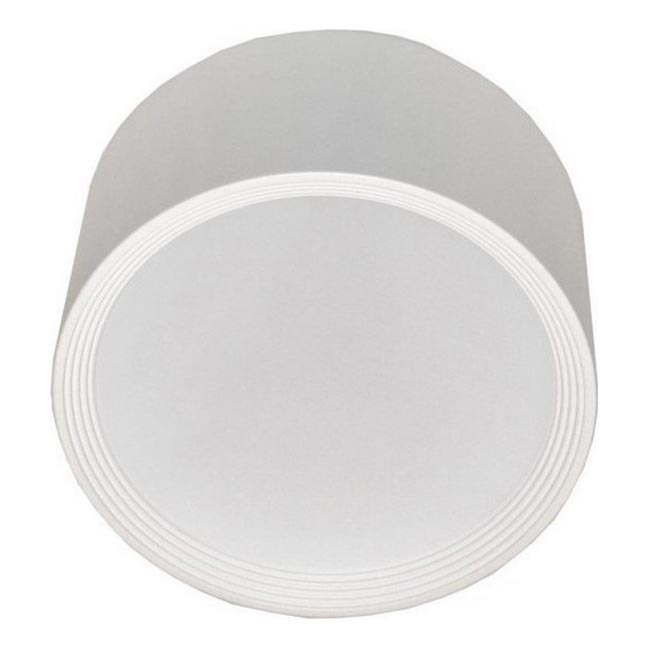 LED-Deckenleuchte PERCI LED/20W/230V IP40 4000K weiß
