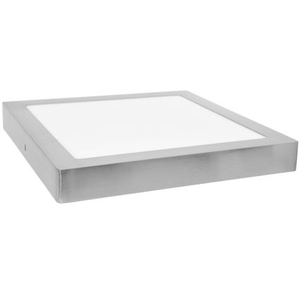 LED Deckenleuchte RAFA LED/12W/230V 4100K