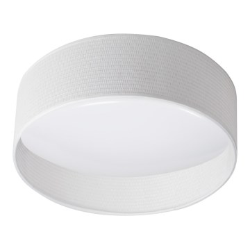 LED-Deckenleuchte RIFA LED/17,5W/230V 4000K weiß