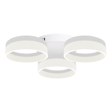 LED Deckenleuchte RING 3xLED/12W/230V weiß