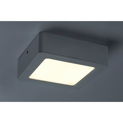 LED Deckenleuchte LED/12W/230V 14,5 cm