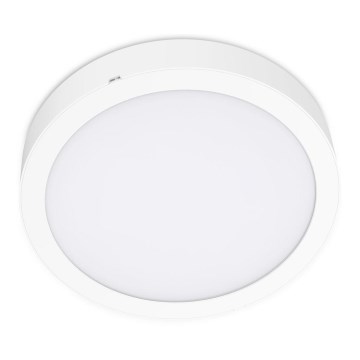 LED-Deckenleuchte SIGARO CIRCLE LED/24W/230V 4000K IP40