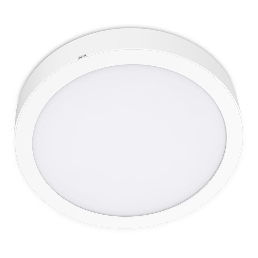 LED-Deckenleuchte SIGARO CIRCLE LED/24W/230V 4000K IP40