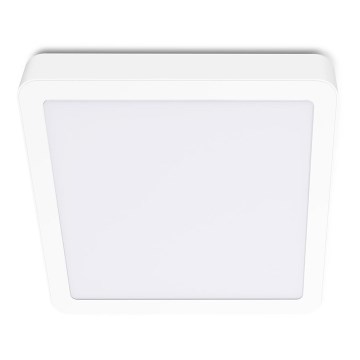 LED-Deckenleuchte SIGARO SQUARE LED/18W/230V 4000K IP40