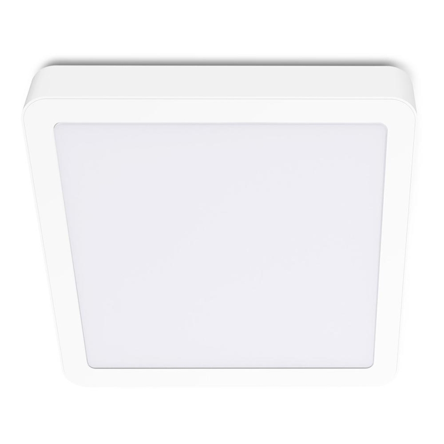 LED-Deckenleuchte SIGARO SQUARE LED/24W/230V 4000K IP40