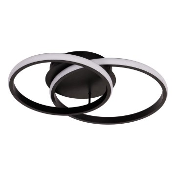 LED Deckenleuchte TITANO LED/12W/230V schwarz