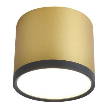 LED Deckenleuchte TUBA LED/9W/230V