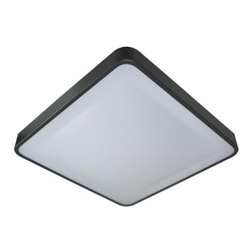 LED-Deckenleuchte WILTON LED/24W/230V 37,5x37,5 cm anthrazit