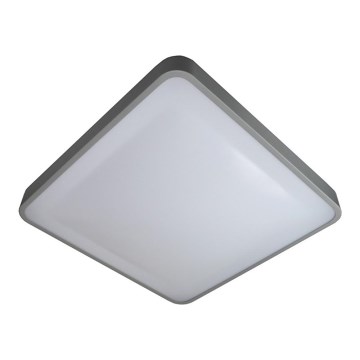 LED-Deckenleuchte WILTON LED/24W/230V 37,5x37,5 cm grau