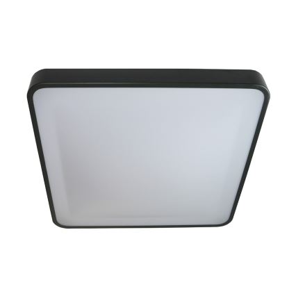 LED-Deckenleuchte WILTON LED/24W/230V 37,5x37,5 cm anthrazit