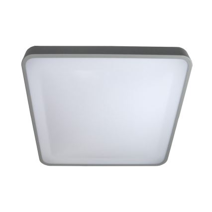 LED-Deckenleuchte WILTON LED/24W/230V 37,5x37,5 cm grau