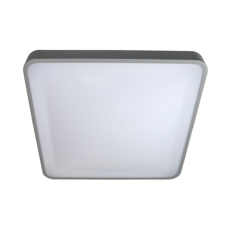 LED-Deckenleuchte WILTON LED/24W/230V 37,5x37,5 cm grau
