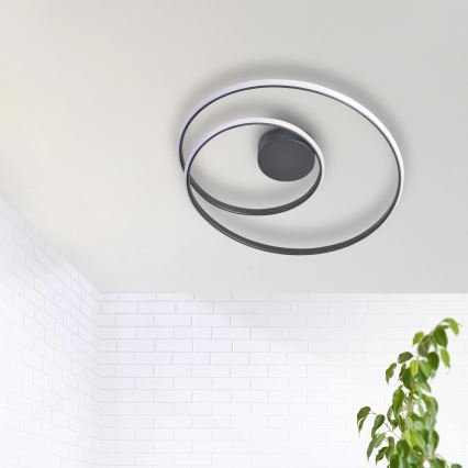LED-Deckenleuchte ZEFIRA LED/40W/230V 4000K d 50 cm anthrazit