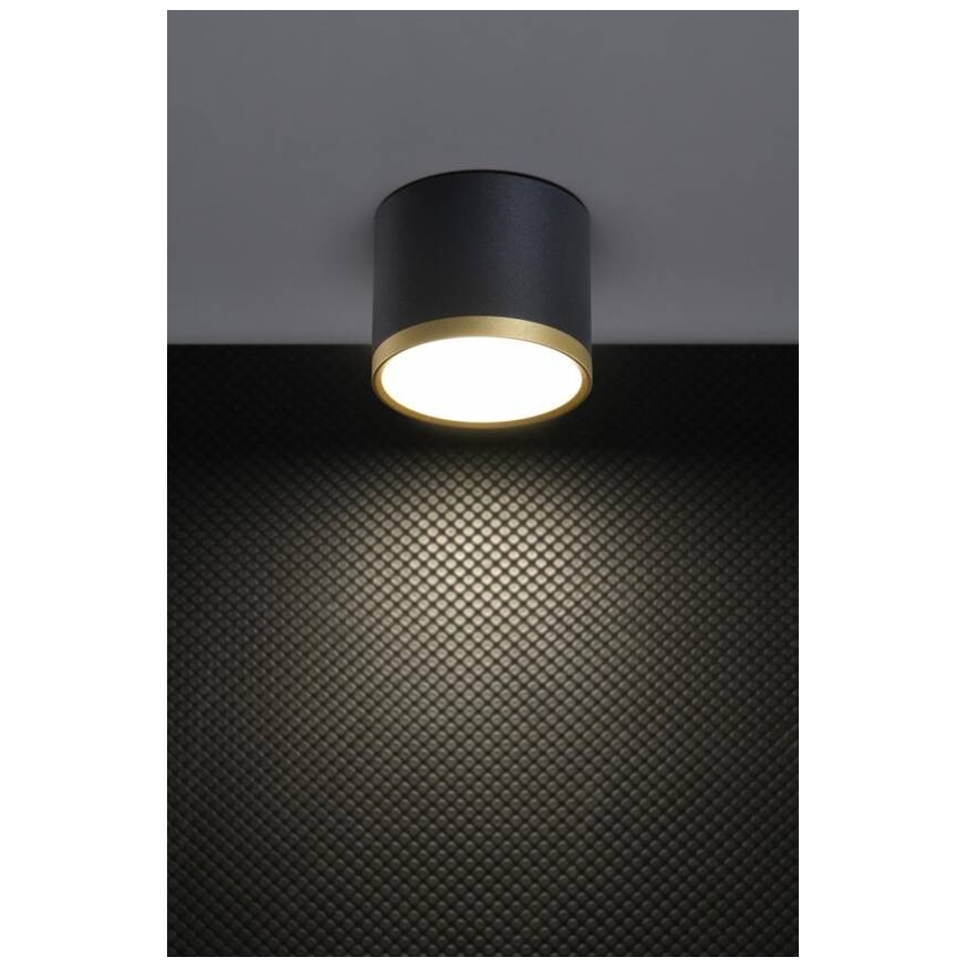 LED-Deckenspot TUBA LED/9W/230V schwarz/gold