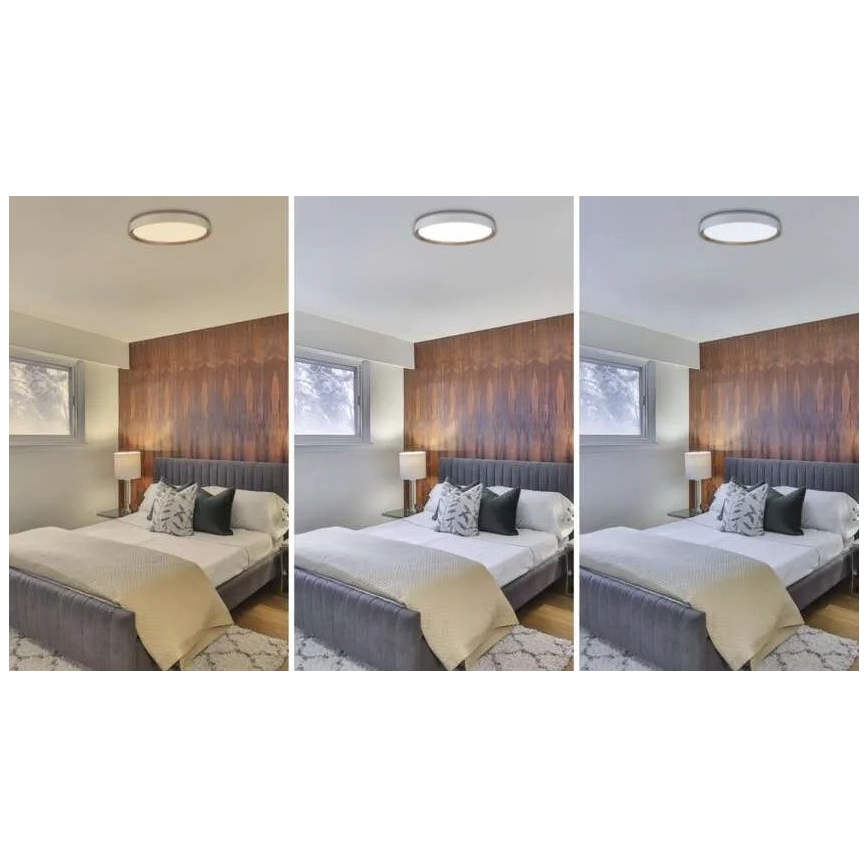 LED-dimmbare Deckenleuchte ILVI LED/45W/230V 2700-6500K Ø 50 cm weiß/beige + Fernbedienung