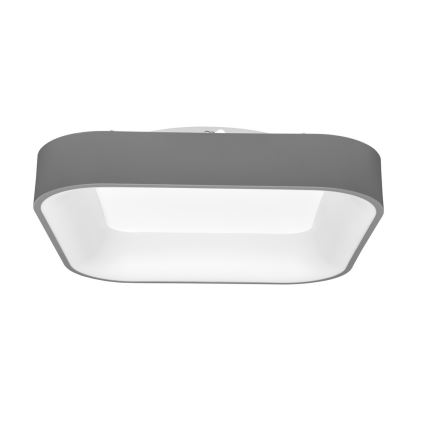 LED Dimmbare Deckenleuchte LED/40W/230V 3000-6500K Grau