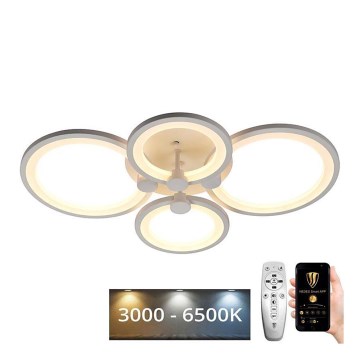 LED dimmbare Deckenleuchte LED/65W/230V 3000-6500K + Fernbedienung