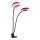 LED dimmbare flexible Tischlampe mit Clip zur Pflanzenzucht VITARO 2xLED/4W/230V schwarz