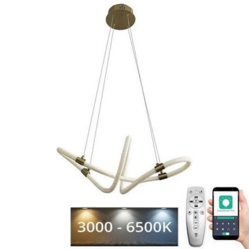 LED dimmbare Hängeleuchte an Kabel LED/25W/230V 3000-6500K + Fernbedienung