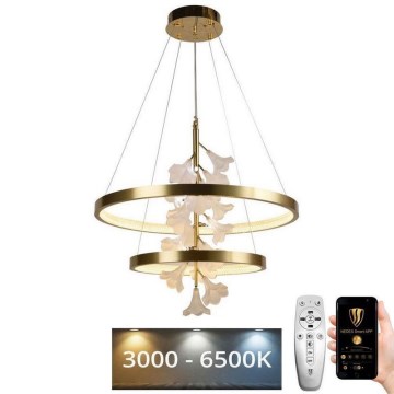 LED dimmbare Hängeleuchte an Kabel LED/70W/230V 3000-6500K + Fernbedienung