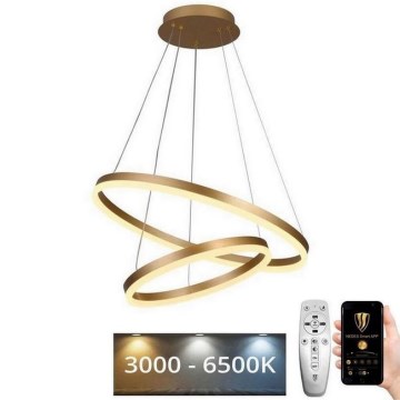 LED dimmbare Hängeleuchte an Kabel LED/70W/230V 3000-6500K Ø 60 cm + Fernbedienung