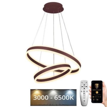 LED dimmbare Hängeleuchte an Seil LED/135W/230V 3000-6500K Ø 60 cm + Fernbedienung