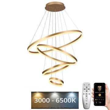 LED dimmbare Hängeleuchte an Seil LED/165W/230V 3000-6500K Ø 80 cm + Fernbedienung