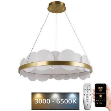 LED dimmbare Hängeleuchte an Seil LED/40W/230V 3000-6500K gold + Fernbedienung