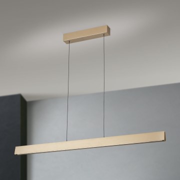 LED dimmbare Hängeleuchte an Seil TARA LED/44W/230V 2700/3800/4500/5700K gold