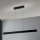 LED dimmbare Hängeleuchte an Seil TARA LED/44W/230V 2700/3800/4500/5700K schwarz