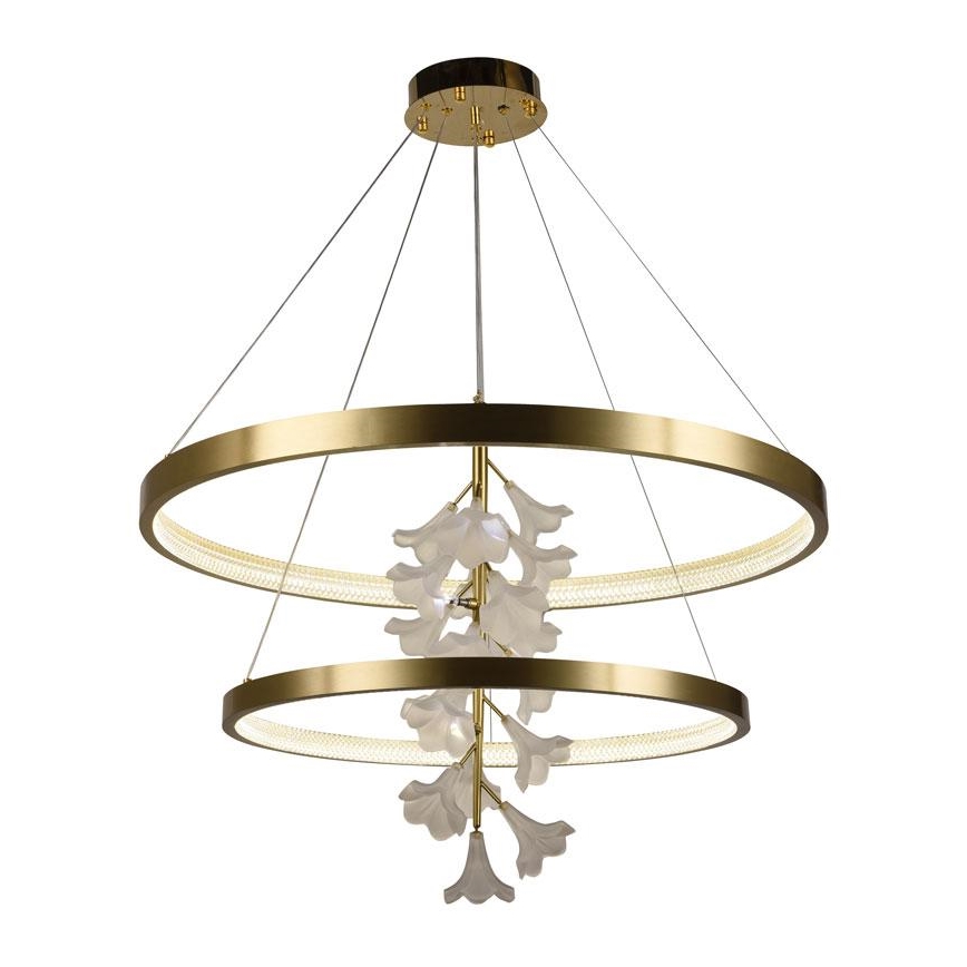 LED dimmbare Hängeleuchte an Seil LED/100W/230V 3000-6500K + Fernbedienung