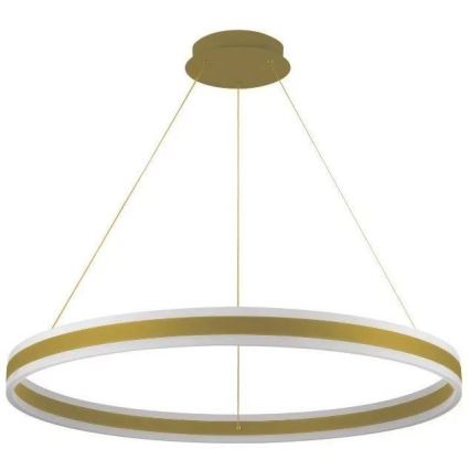 LED dimmbare Hängeleuchte an Seil LED/110W/230V 3000-6500K Ø 80 cm + Fernbedienung