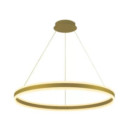 LED dimmbare Hängeleuchte an Seil LED/110W/230V 3000-6500K Ø 80 cm + Fernbedienung