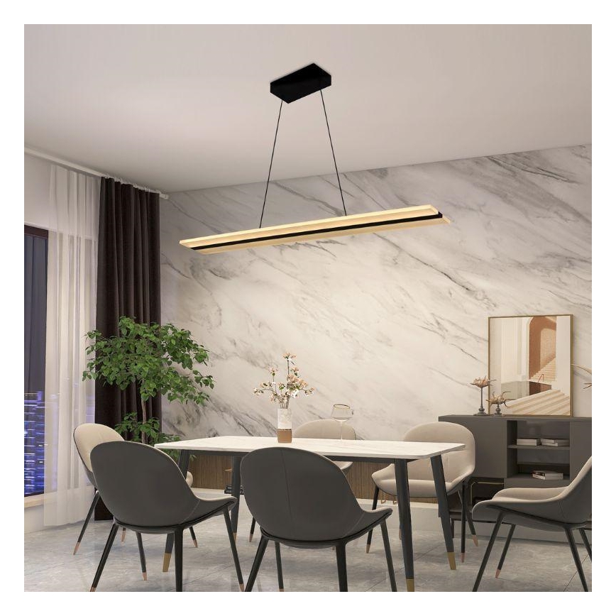 LED dimmbare Hängeleuchte an Kabel LED/40W/230V 3000-6500K schwarz + Fernbedienung