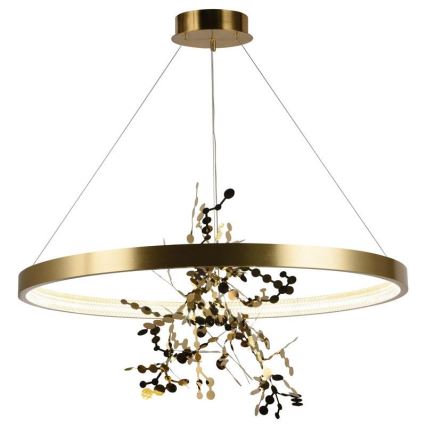 LED dimmbare Hängeleuchte an Seil LED/55W/230V 3000-6500K gold + Fernbedienung