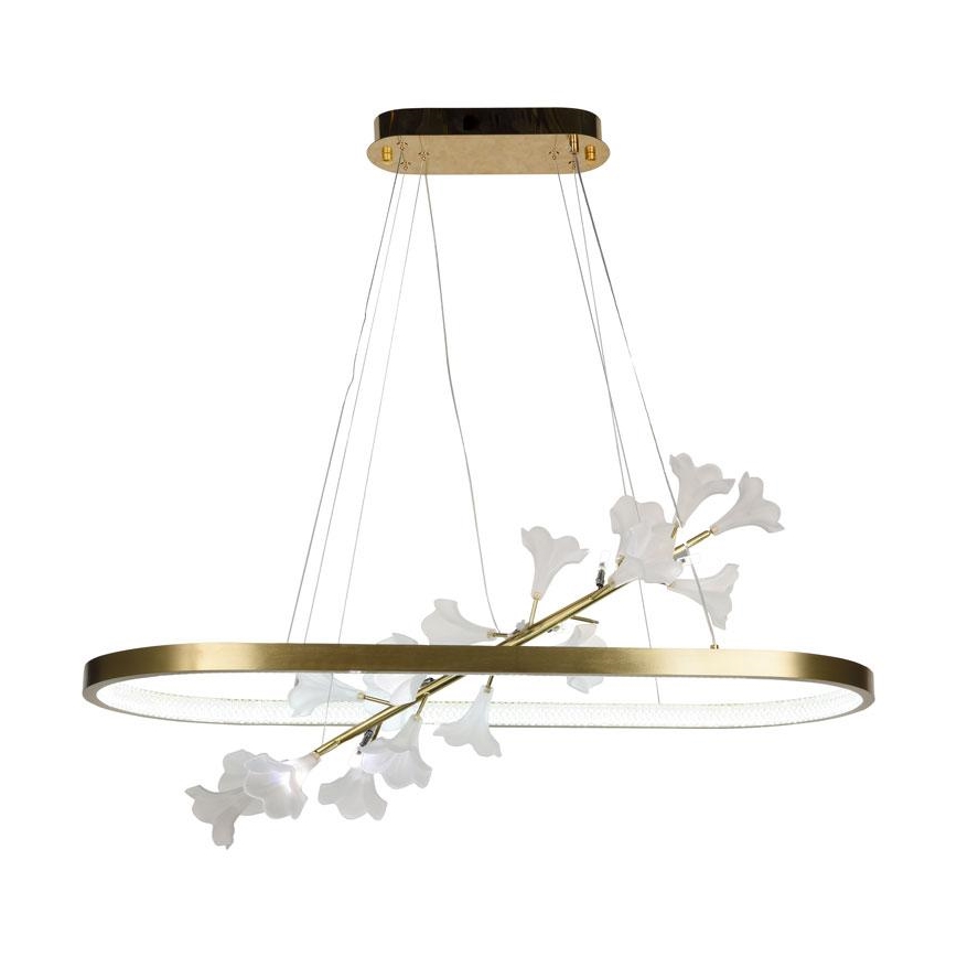 LED dimmbare Hängeleuchte an Kabel LED/65W/230V 3000-6500K + Fernbedienung