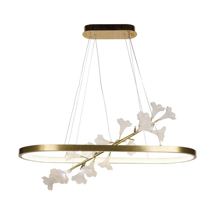 LED dimmbare Hängeleuchte an Kabel LED/65W/230V 3000-6500K + Fernbedienung