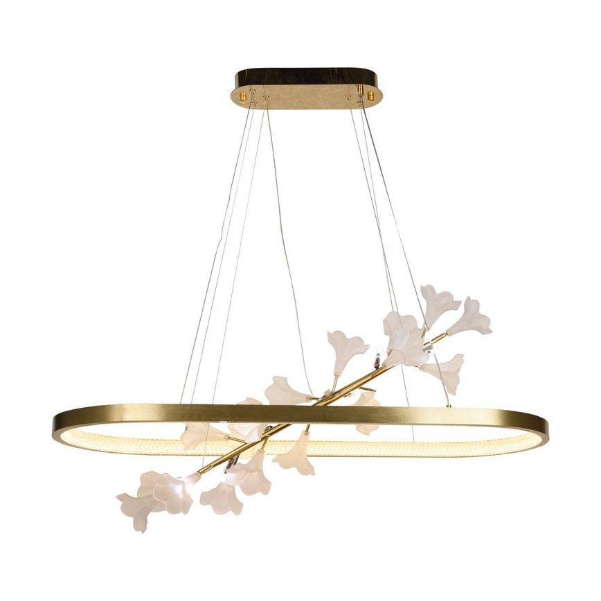 LED dimmbare Hängeleuchte an Kabel LED/65W/230V 3000-6500K + Fernbedienung