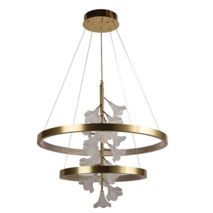 LED dimmbare Hängeleuchte an Kabel LED/70W/230V 3000-6500K + Fernbedienung