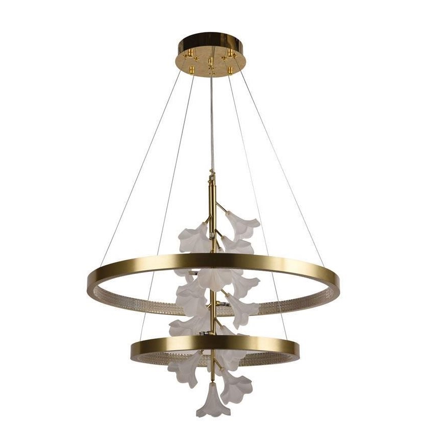 LED dimmbare Hängeleuchte an Kabel LED/70W/230V 3000-6500K + Fernbedienung