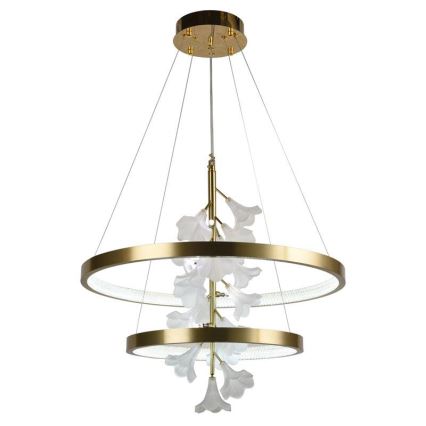 LED dimmbare Hängeleuchte an Kabel LED/70W/230V 3000-6500K + Fernbedienung