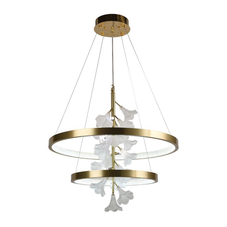 LED dimmbare Hängeleuchte an Kabel LED/70W/230V 3000-6500K + Fernbedienung