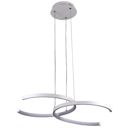 LED dimmbare Hängeleuchte an Kabel LED/50W/230V 3000-6500K + Fernbedienung