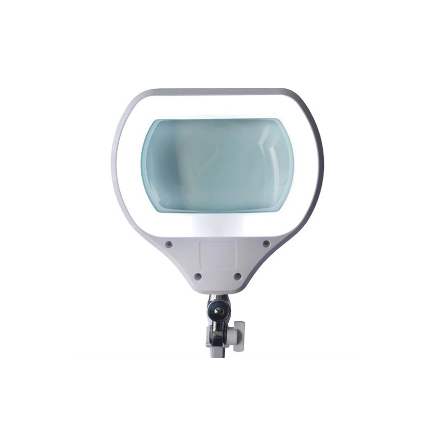 LED dimmbare Tischleuchte mit Lupe LED/12W/230V weiß