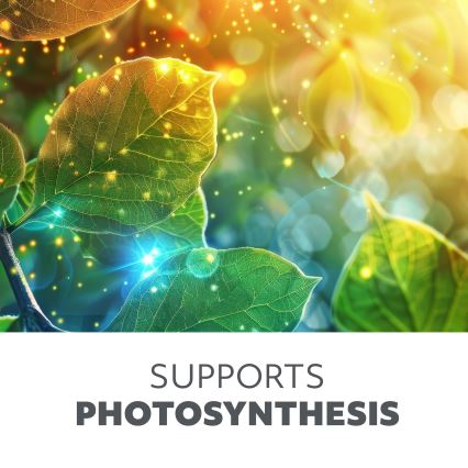 LED-dimmbare flexible Tischlampe zur Pflanzenaufzucht VITARO 4xLED/10W/230V schwarz