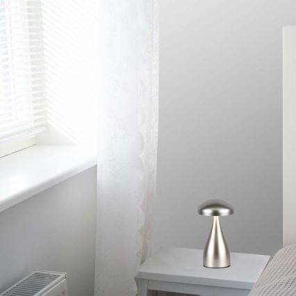 LED dimmbare wiederaufladbare Touch-Tischlampe LED/1W/5V 3000-6000K 1800 mAh silber