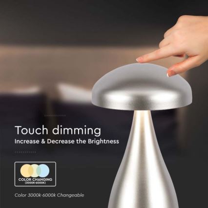 LED dimmbare wiederaufladbare Touch-Tischlampe LED/1W/5V 3000-6000K 1800 mAh silber