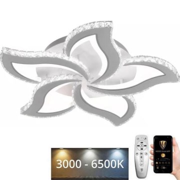 LED Dimmbarer Deckenleuchter LED/100W/230V 3000-6500K + Fernbedienung